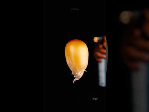 How popcorn pops in slow motion and macro #urday #macro #satisfy #closeup