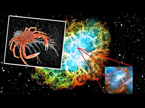 宇宙中最具視覺震撼感的超新星遺跡之一——蟹狀星雲 Beautiful supernova remnant, the crab nebula