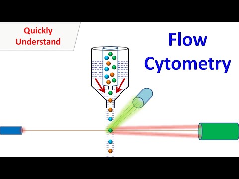 Flow Cytometry