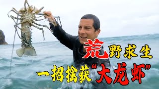 贝爷挑战海岛生存，炭烤美味“大龙虾”，美食堪比海岛度假！