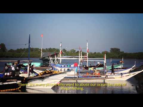 A Day in the Life of a Moalboal Fisherman