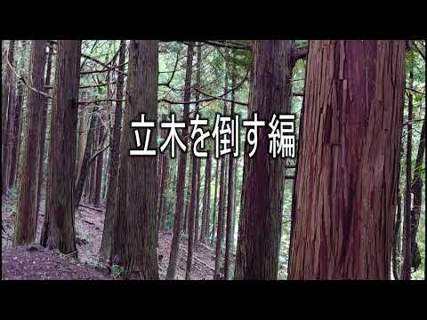 立木の伐り方動画編