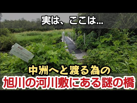 岡山市の旭川河川敷にある謎の橋を探検します。