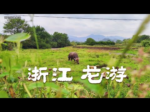 衢州龙游：浙江的小县城，浓浓的江南味，就差穿汉服的小姐姐了【背包走遍中国】