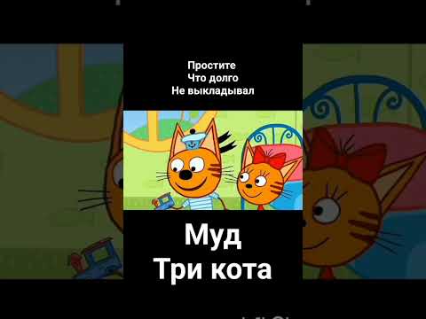 сегодня будет много мудов. муд три кота "нужные вещи"