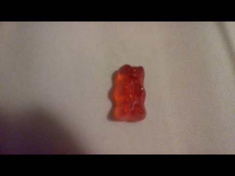 Cat vs Gummy Bear