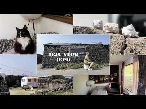 【JEJU VLOG ep.1 🇰🇷】 濟州絕對值得飛一轉 |好大膽 飛甩oppa自已住 貓主人民宿 | 鮑魚大餐 | 平民醬油蝦伴飯|手製水晶首飾店| 人氣文青咖啡書店|濟州海女