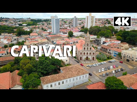 CAPIVARI VISTA DE CIMA  |  4K