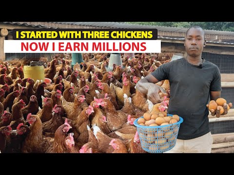 How he started a poultry farm with THREE CHICKENS and he is earning millions now.