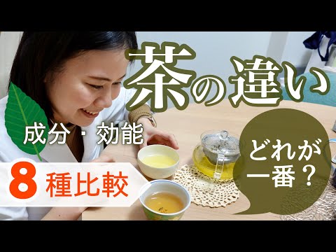 【徹底比較】お茶の効能・成分の違いは？どれが一番体に良い？【緑茶・ほうじ茶・ルイボスティ・麦茶・ジャスミンティ】