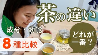 【徹底比較】お茶の効能・成分の違いは？どれが一番体に良い？【緑茶・ほうじ茶・ルイボスティ・麦茶・ジャスミンティ】