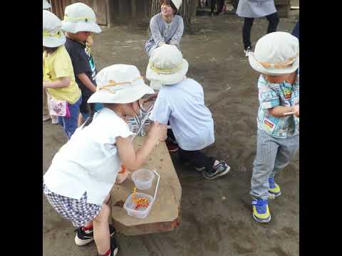 町田自然幼稚園『どりーひろば』