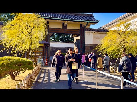 [4K] The Imperial Palace Family’s Garden Outside / Inside Walking Tour. Japan. December 2024