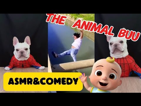 The Animal Buu Compilation | the most Fuuny collection282 #comedy #bathbomb