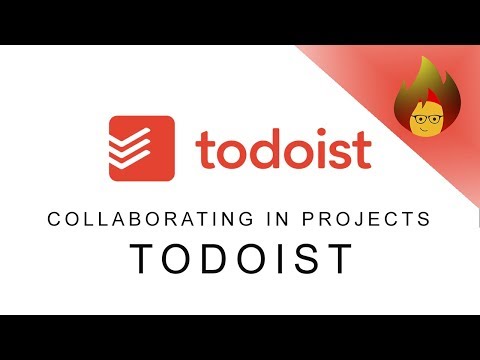 Collaborating Projects | TODOIST