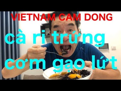 VIETNAM CAM DONG   玄米卵カレー　cà ri trứng cơm gạo lứt