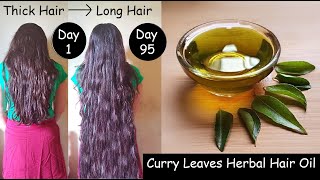 Homemade Curry Leaves Herbal Hair oil - Turn Thin Hair to Thick Hair | Hair Growth Oil for Long Hair