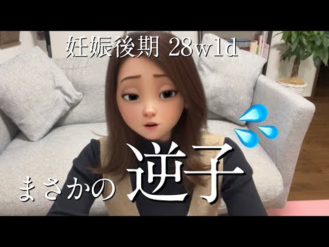 【妊娠後期】28w1d ついに後期突入！逆子を治すための効果的な方法😳