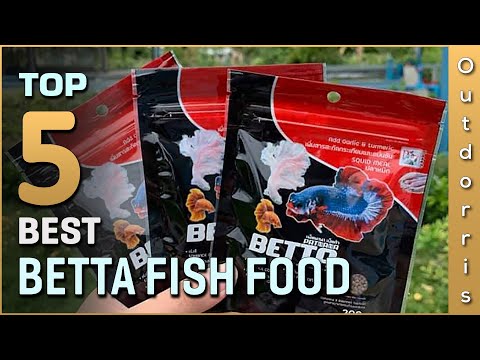 Top 5 Best Betta Fish Foods Review [2023]