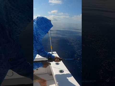 Deep dropping huge grouper on light tackle