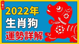 生肖不同命不同！2022年生肖狗運勢詳解！不同生年的屬狗人運勢如何？#生活小醬汁