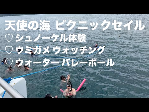 ハワイで人気のアクティビティ「天使の海 ピクニックセイル」が楽しすぎた♪