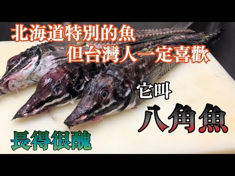 【珍奇的魚】北海道的美食一種　這個魚叫八角魚　做五個口味的料理　台灣人一定喜歡的味道　因為…