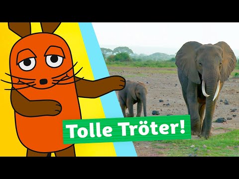 Wie tröten Elefanten? | Die Maus | WDR