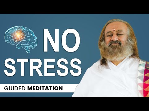 Guided Meditation To Reduce Stress | Gurudev