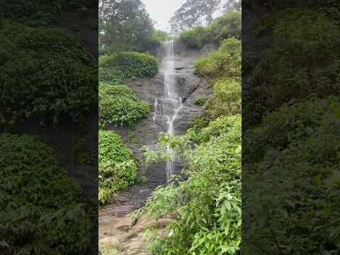 Munnar water falls #relaxing #relaxingmusic #meditationmusic #music #nature #waterfall r