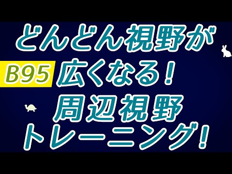 【Daily Eye Training】目指せアスリート！動体視力/周辺視野UP！vol.095