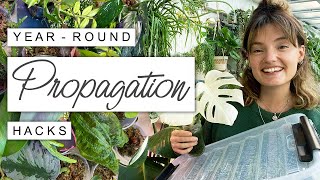 Fast Propagation All Year Round + Plants I'm Propagating This Winter 🌿