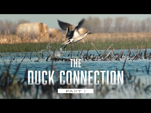 The Duck Connection Part 1 TEASER - Delta Waterfowl