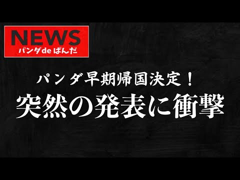 上野動物園のシンシン＆リーリーが中国へ早期返還！その背景にある健康問題とは？