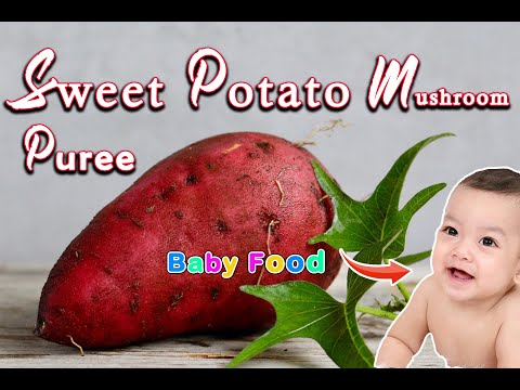 Sweet Potato Mushroom Puree || Iron Boosting Foods for Kids || 6months plus Baby food || Baby Food