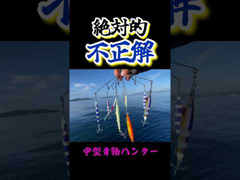 【検証】大量ジグで釣りしてみた結果【和歌山ジギング】