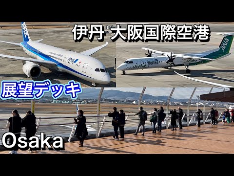 伊丹空港の展望デッキ 飛行機の離着陸 大阪国際空港 2024 View Deck in Osaka International Airport