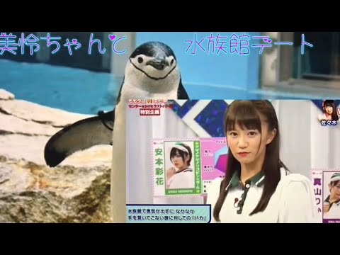 私立恵比寿中学🦐 美怜ちゃん回復祈願❗️《美怜ちゃんとデート》『水族館のペンギンの前で』