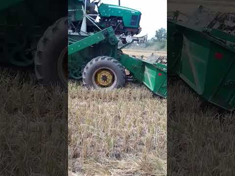 paddy harvesting #paddycropcuttingmachine #harvesting #heavydriver