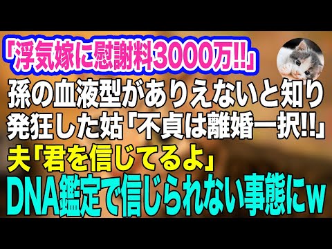 「浮気嫁に慰謝料3000万‼」大学生の孫の血液型がAB型と知り発狂した姑「不貞は離婚一択‼」→夫「君を信じてるよ」→その後、DNA鑑定で信じられない事態にｗ【スカッとする話】