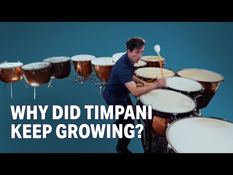 Why Timpani Kept Growing (Two Pint Timpani) | Evolution of Timpani Part 2