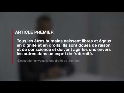 Article 1 de la Déclaration universelle des droits de l'homme, expliqué par un avocat