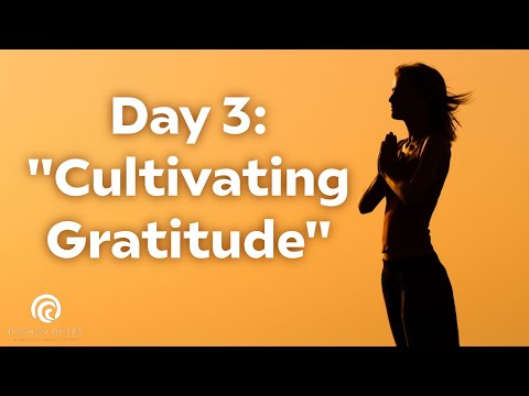 Day 3: Discover Joy in Gratitude | 30-Day Meditation Series