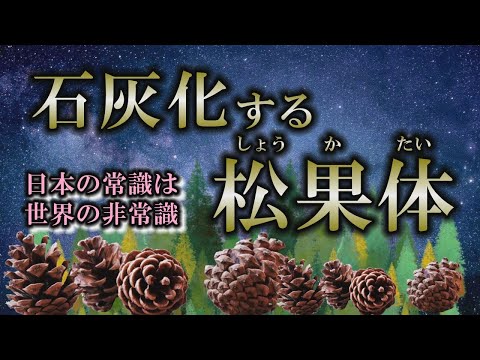 【松果体】松果体が石灰化する主な原因2つ｜誤った常識を見直し開眼する【石灰化】