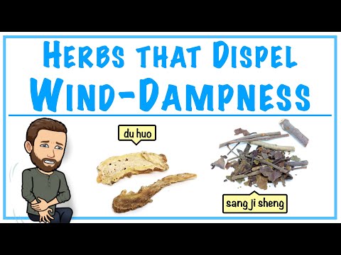 Herbs that Dispel Wind-Dampness | HERBOLOGY 2 REVIEW