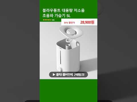 블라우풍트 대용량 저소음 초음파 가습기 5L