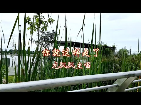 你就这样走了--Full HD1080P龙飘飘主唱