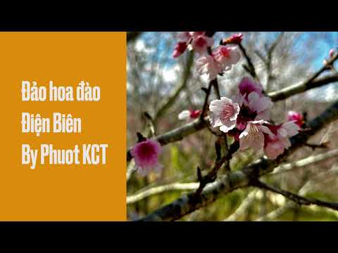 Đảo Hoa Đào - Điện Biên - By Phuot KCT