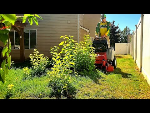 I Made A ROOKIE Mistake While MOWING This Overgrown Yard