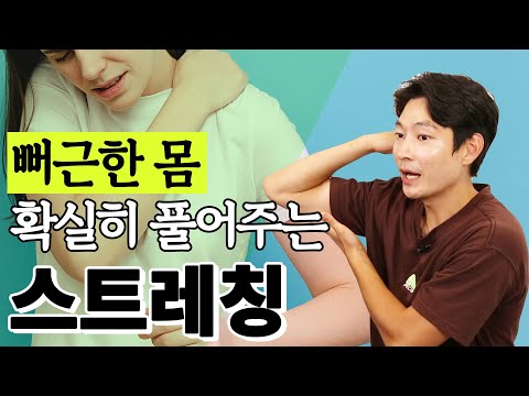 짧아진 근육은 길게, 길어진 근육은 짧게 만들어주는 스트레칭 - 스트레칭의 정석 #02 골반 스트레칭